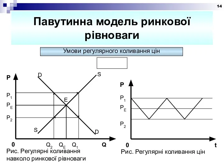 Павутинна модель ринкової рівноваги Умови регулярного коливання цін