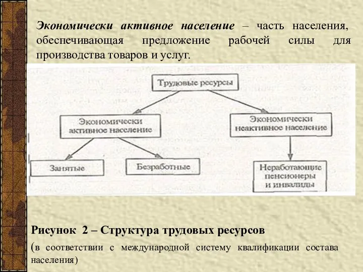 Экономически активное население – часть населения, обеспечивающая предложение рабочей силы для