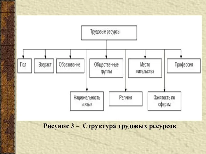 Рисунок 3 – Структура трудовых ресурсов