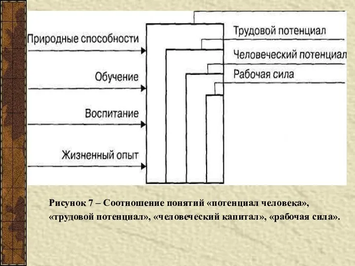 Рисунок 7 – Соотношение понятий «потенциал человека», «трудовой потенциал», «человеческий капитал», «рабочая сила».