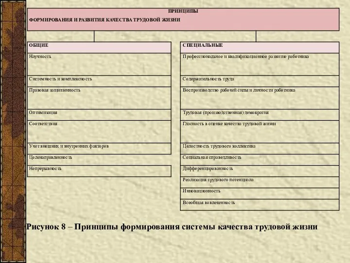 Рисунок 8 – Принципы формирования системы качества трудовой жизни