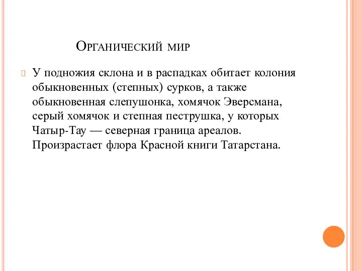 Органический мир У подножия склона и в распадках обитает колония обыкновенных