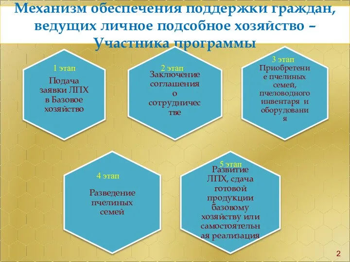 Механизм обеспечения поддержки граждан, ведущих личное подсобное хозяйство – Участника программы