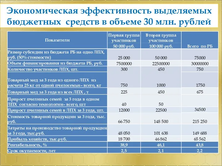 Экономическая эффективность выделяемых бюджетных средств в объеме 30 млн. рублей