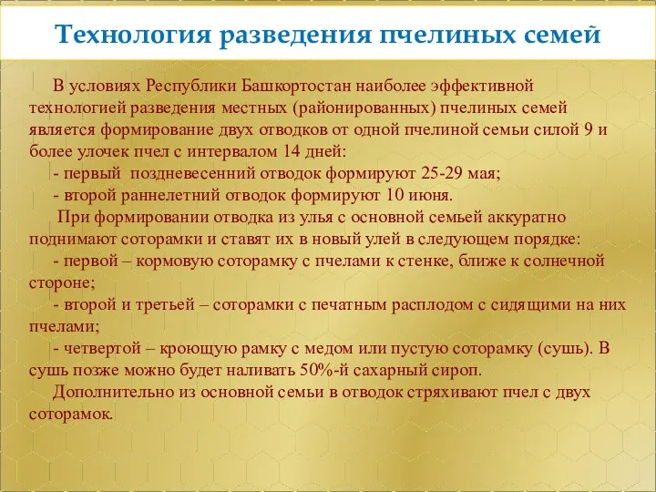 В условиях Республики Башкортостан наиболее эффективной технологией разведения местных (районированных) пчелиных