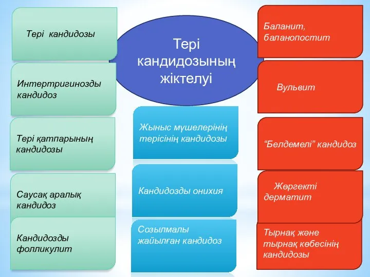 Тері кандидозының жіктелуі Тері кандидозы Жыныс мүшелерінің терісінің кандидозы “Белдемелі” кандидоз