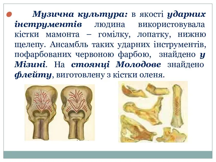 Музична культура: в якості ударних інструментів людина використовувала кістки мамонта –