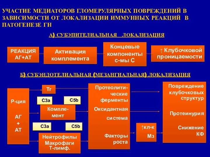 УЧАСТИЕ МЕДИАТОРОВ ГЛОМЕРУЛЯРНЫХ ПОВРЕЖДЕНИЙ В ЗАВИСИМОСТИ ОТ ЛОКАЛИЗАЦИИ ИММУННЫХ РЕАКЦИЙ В ПАТОГЕНЕЗЕ ГН