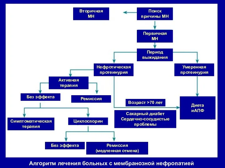 Вторичная МН Первичная МН Поиск причины МН Период выжидания Нефротическая протеинурия