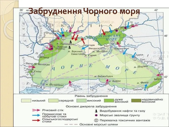 Забруднення Чорного моря