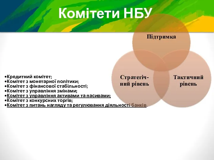 Комітети НБУ Кредитний комітет; Комітет з монетарної політики; Комітет з фінансової