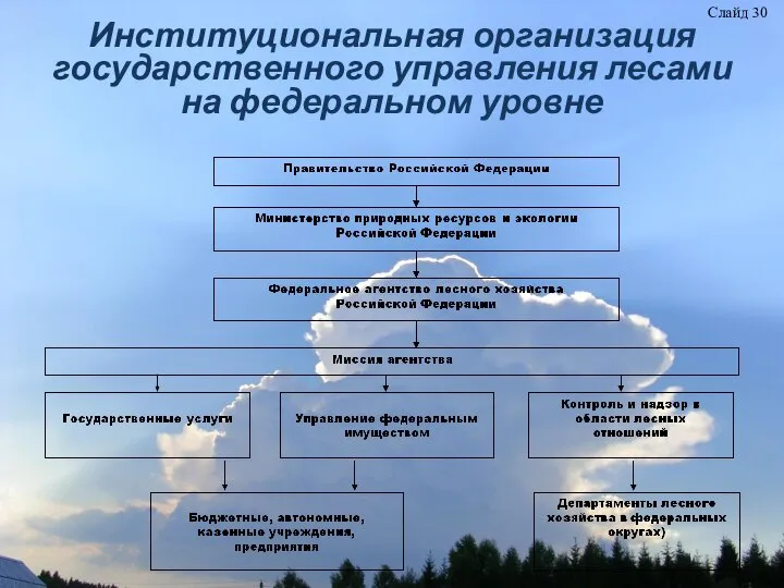 Институциональная организация государственного управления лесами на федеральном уровне Слайд 30