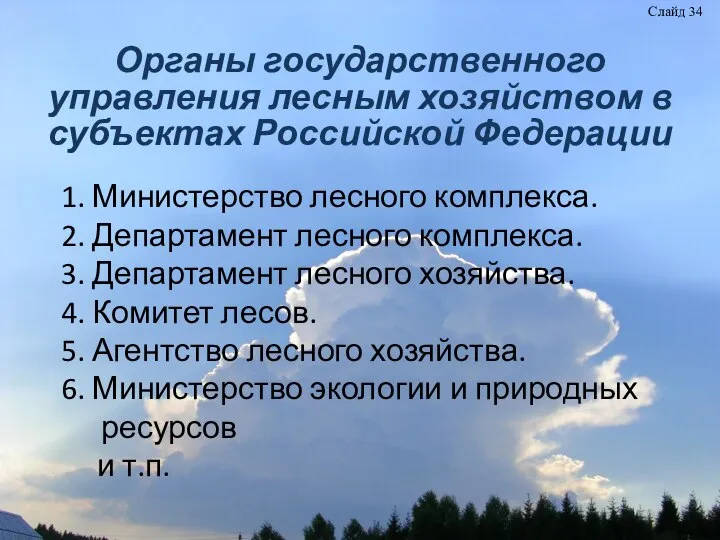 Органы государственного управления лесным хозяйством в субъектах Российской Федерации 1. Министерство