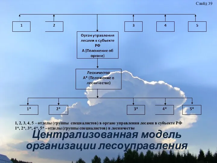 Централизованная модель организации лесоуправления Слайд 39 1, 2, 3, 4, 5