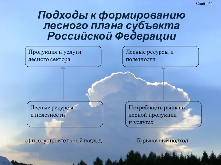Подходы к формированию лесного плана субъекта Российской Федерации а) лесоустроительный подход