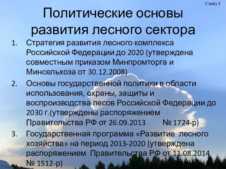 Политические основы развития лесного сектора Стратегия развития лесного комплекса Российской Федерации