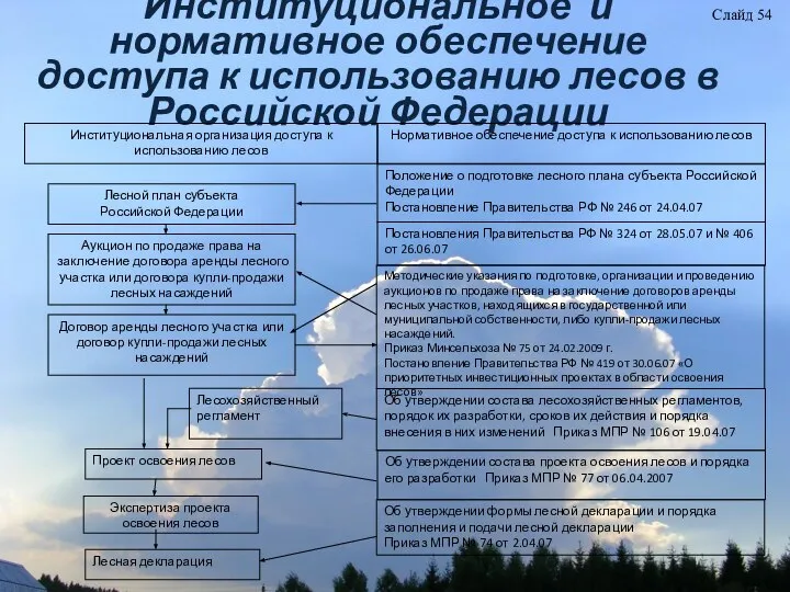 Институциональное и нормативное обеспечение доступа к использованию лесов в Российской Федерации