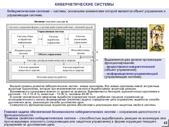 КИБЕРНЕТИЧЕСКИЕ СИСТЕМЫ Выделяются два уровня организации функционирования: - вещественно-энергетический (объект управления);