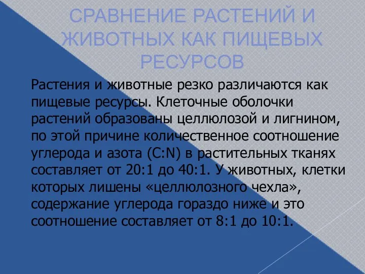 СРАВНЕНИЕ РАСТЕНИЙ И ЖИВОТНЫХ КАК ПИЩЕВЫХ РЕСУРСОВ Растения и животные резко