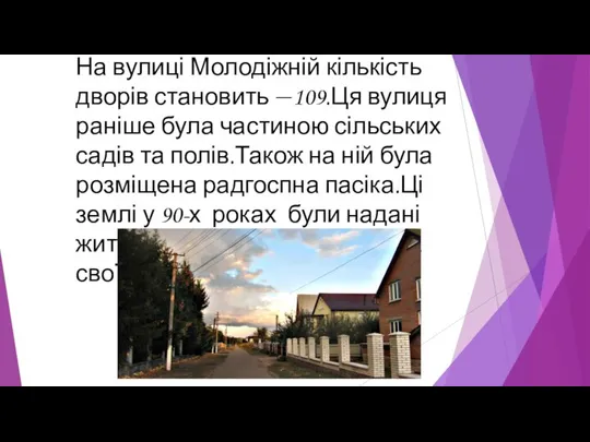 На вулиці Молодіжній кількість дворів становить —109.Ця вулиця раніше була частиною