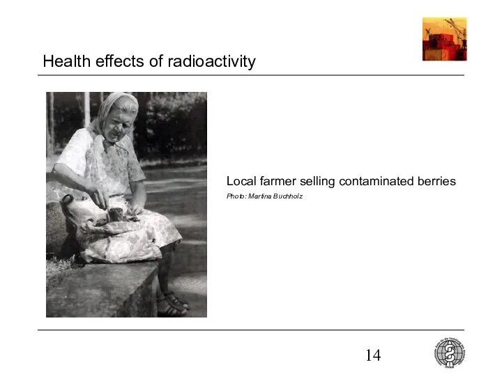 Health effects of radioactivity Local farmer selling contaminated berries Photo: Martina Buchholz