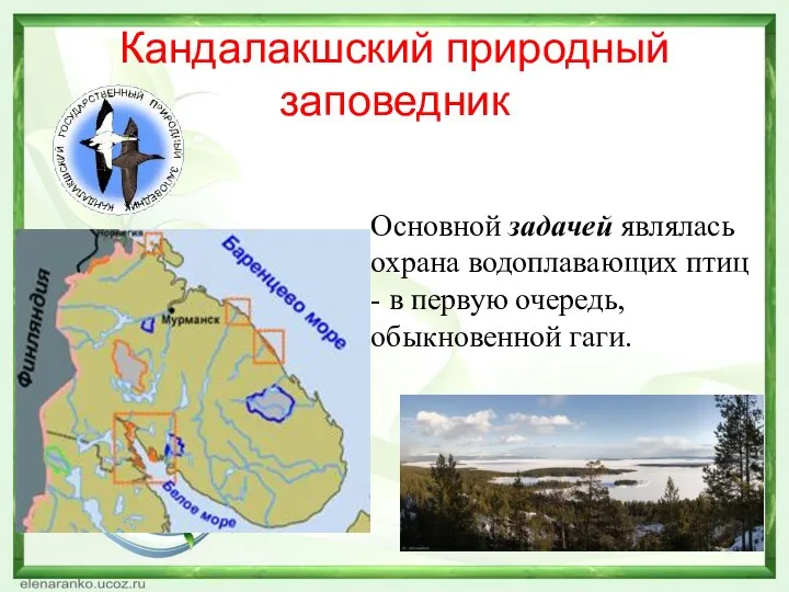 Кандалакшский природный заповедник Основной задачей являлась охрана водоплавающих птиц - в первую очередь, обыкновенной гаги.