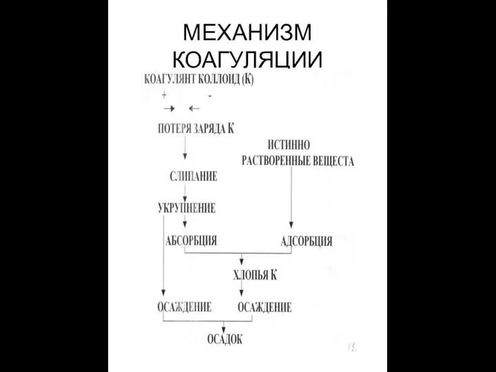 МЕХАНИЗМ КОАГУЛЯЦИИ