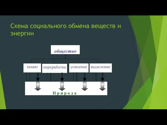 Схема социального обмена веществ и энергии