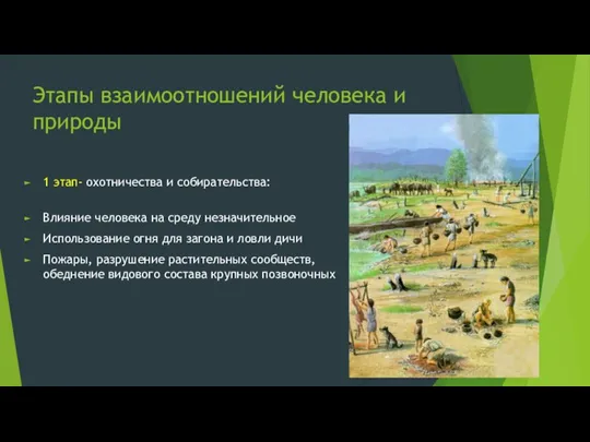 Этапы взаимоотношений человека и природы 1 этап- охотничества и собирательства: Влияние