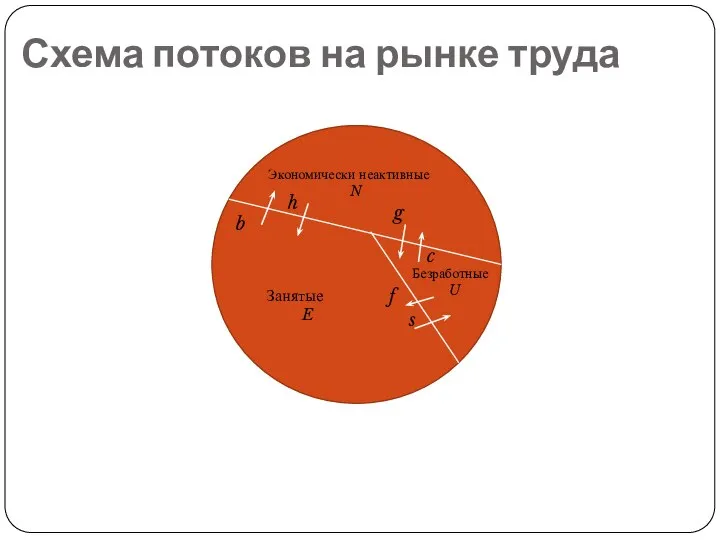 Схема потоков на рынке труда Экономически неактивные N Безработные U Занятые