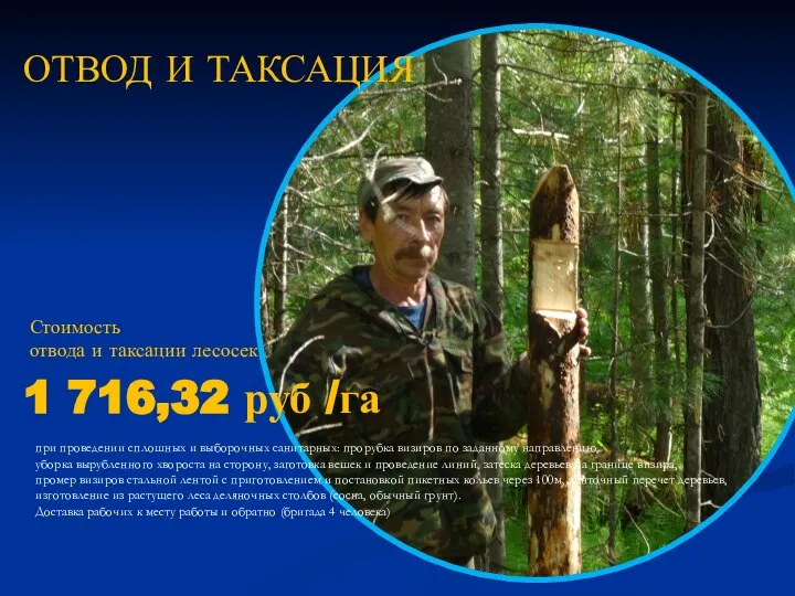 ОТВОД И ТАКСАЦИЯ 1 716,32 руб /га Стоимость отвода и таксации