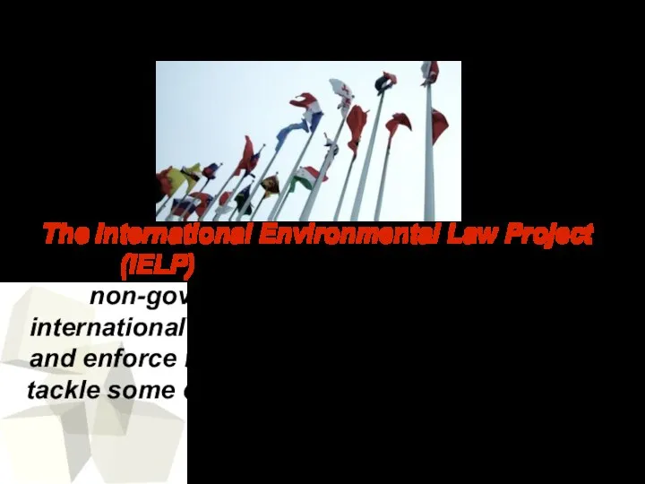 The International Environmental Law Project (IELP) works with governments, non-governmental organizations