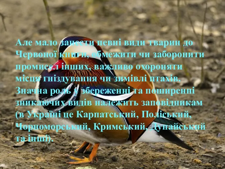 Але мало занести певні види тварин до Червоної книги, обмежити чи