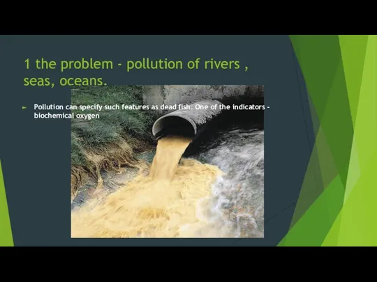 1 the problem - pollution of rivers , seas, oceans. Pollution