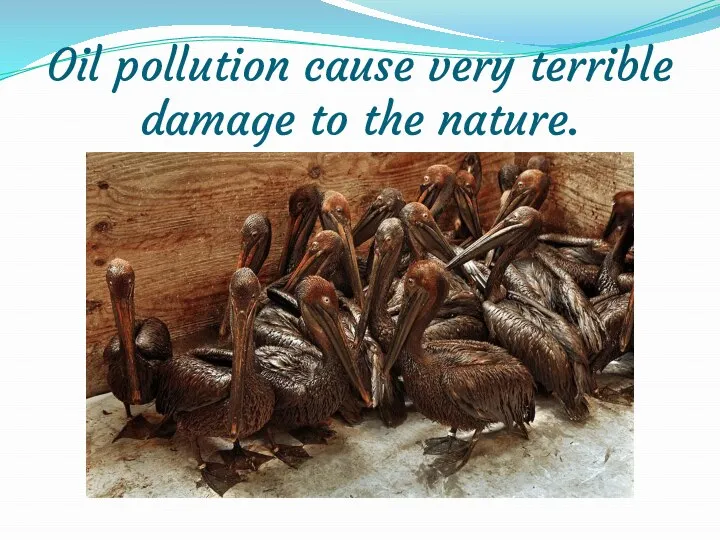 Oil pollution cause very terrible damage to the nature.