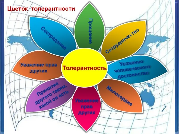 Сотрудничество Прощение Цветок толерантности