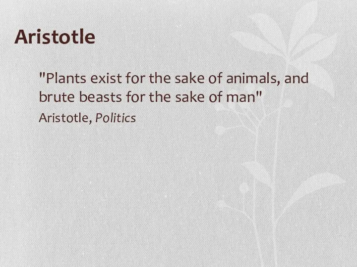 Aristotle "Plants exist for the sake of animals, and brute beasts