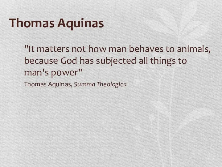 Thomas Aquinas "It matters not how man behaves to animals, because