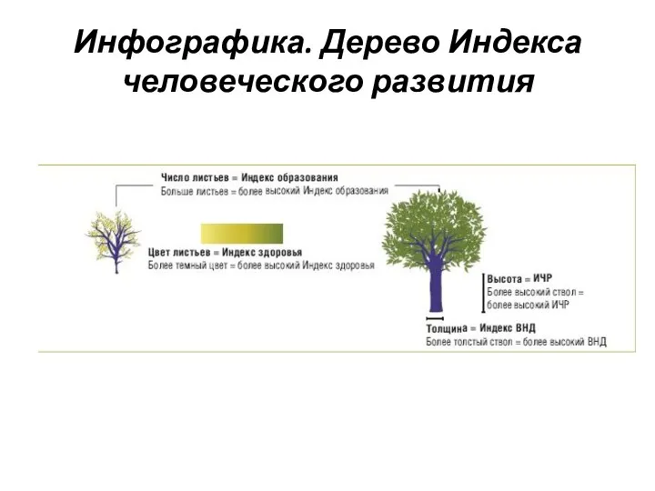 Инфографика. Дерево Индекса человеческого развития