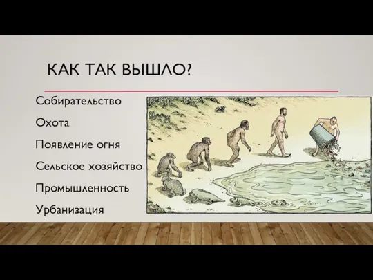 КАК ТАК ВЫШЛО? Собирательство Охота Появление огня Сельское хозяйство Промышленность Урбанизация