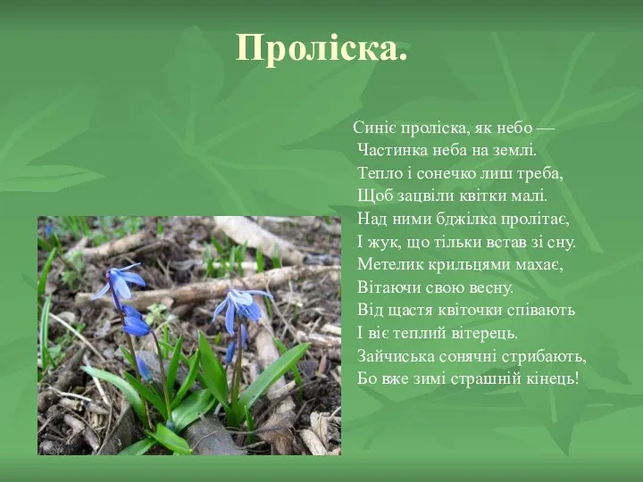 Проліска. Синіє проліска, як небо — Частинка неба на землі. Тепло