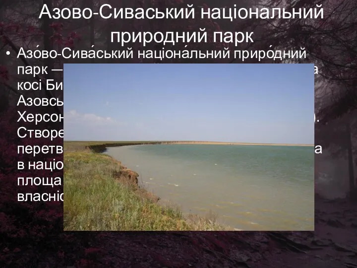 Азово-Сиваський національний природний парк Азо́во-Сива́ський націона́льний приро́дний парк — національний парк,