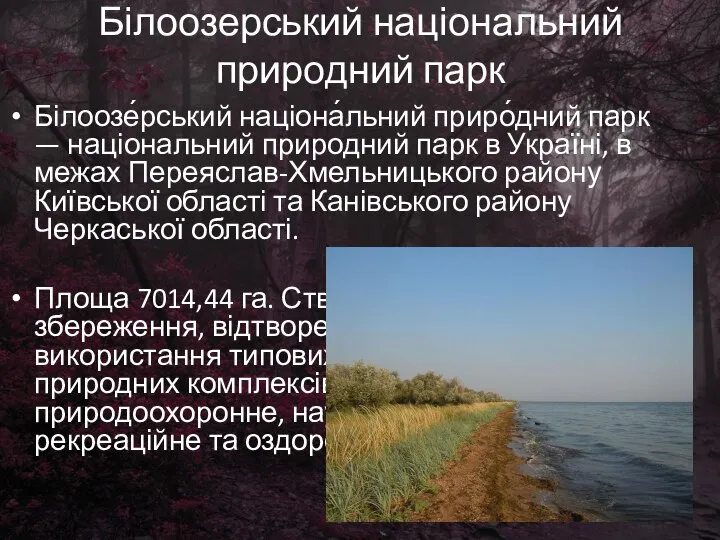 Білоозерський національний природний парк Білоозе́рський націона́льний приро́дний парк — національний природний