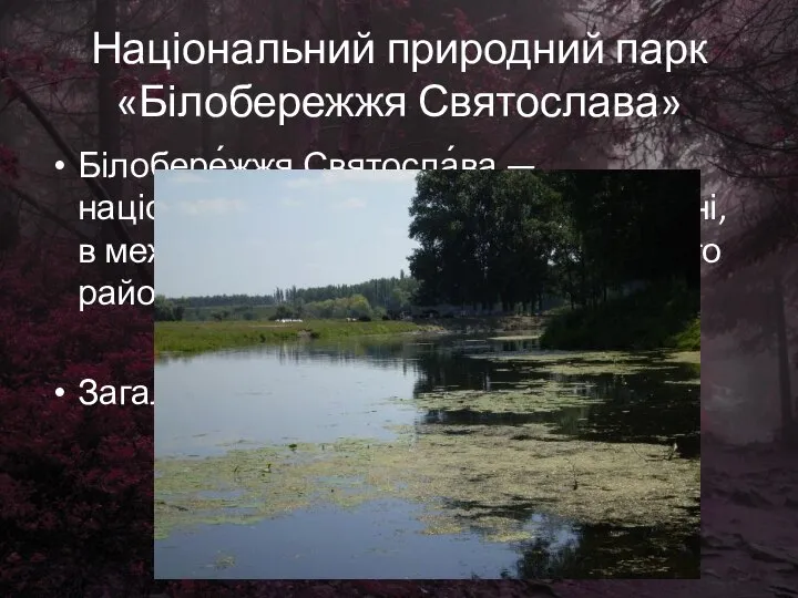 Національний природний парк «Білобережжя Святослава» Білобере́жжя Святосла́ва — національний природний парк