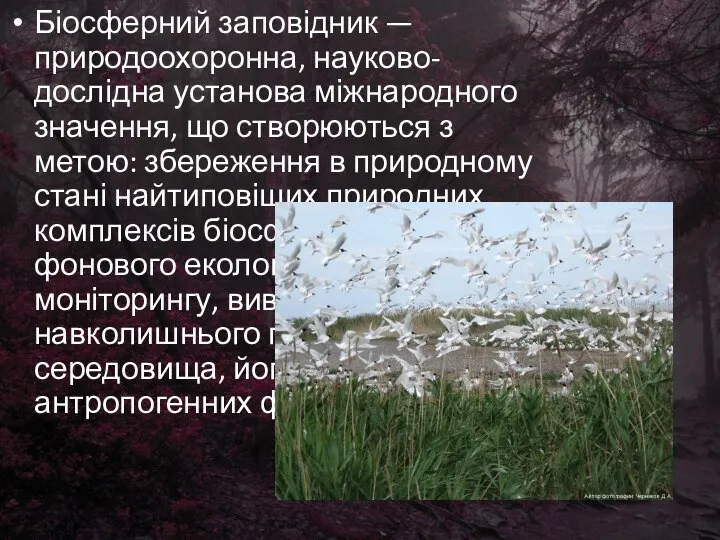 Біосферний заповідник — природоохоронна, науково-дослідна установа міжнародного значення, що створюються з