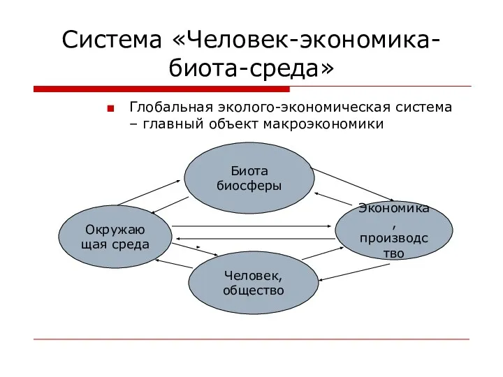 Система «Человек-экономика-биота-среда» Глобальная эколого-экономическая система – главный объект макроэкономики Биота биосферы