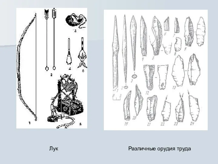 Лук Различные орудия труда