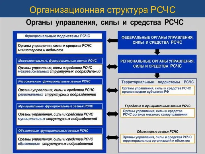 Организационная структура РСЧС