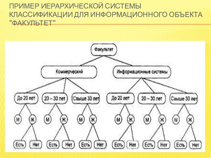 ПРИМЕР ИЕРАРХИЧЕСКОЙ СИСТЕМЫ КЛАССИФИКАЦИИ ДЛЯ ИНФОРМАЦИОННОГО ОБЪЕКТА "ФАКУЛЬТЕТ"