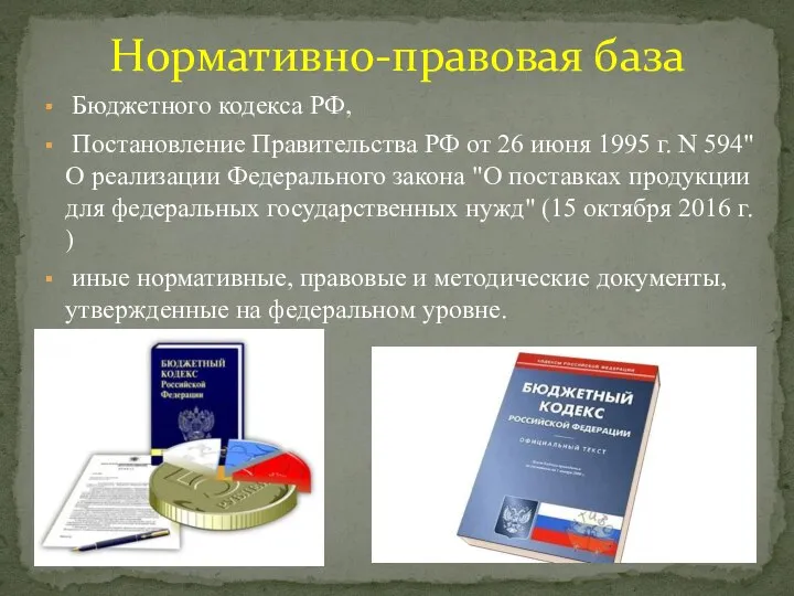 Бюджетного кодекса РФ, Постановление Правительства РФ от 26 июня 1995 г.